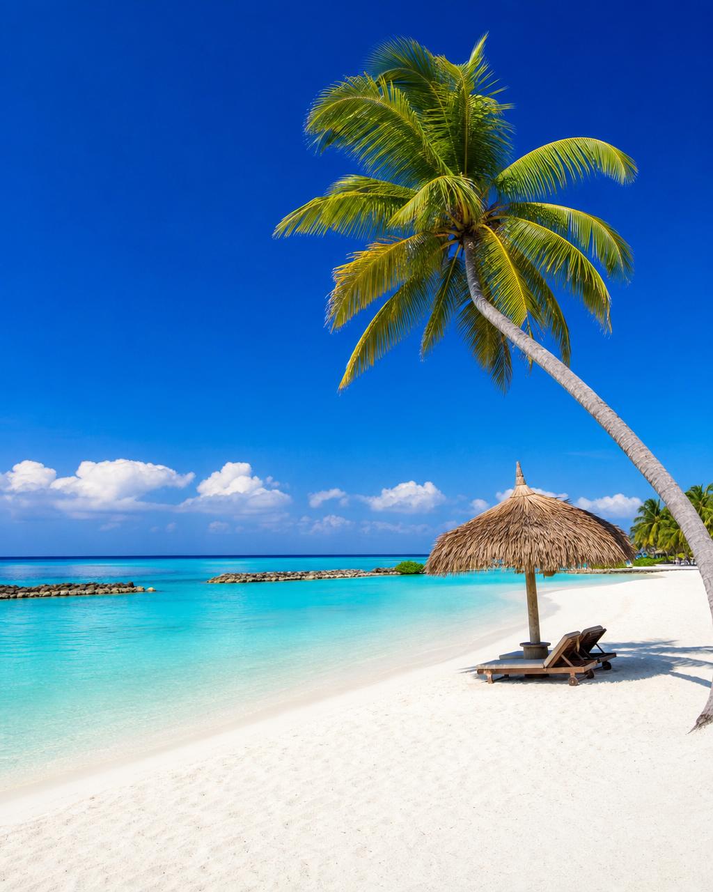 Caribbean